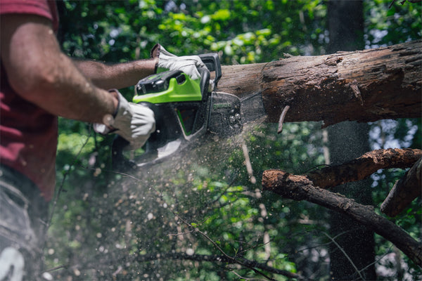 CS2412AA1 – Greenworks PowerAll 24V Brushless 12